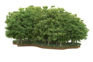 Realistic forest isolated on transparent background. 3d rendering - illustration png