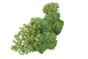 Realistic forest isolated on transparent background. 3d rendering - illustration png