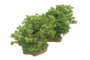 Realistic forest isolated on transparent background. 3d rendering - illustration png