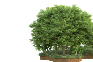 forêt réaliste isolée sur fond transparent. rendu 3d - illustration png