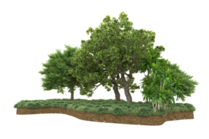 forêt réaliste isolée sur fond transparent. rendu 3d - illustration png