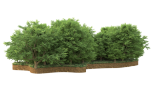 Realistic forest isolated on transparent background. 3d rendering - illustration png