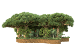 realistico foresta isolato su trasparente sfondo. 3d interpretazione - illustrazione png