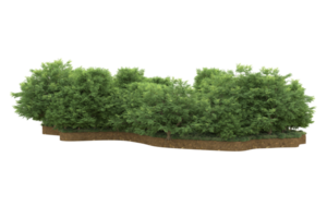 Realistic forest isolated on transparent background. 3d rendering - illustration png