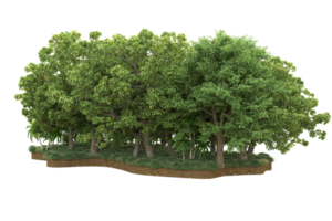 Realistic forest isolated on transparent background. 3d rendering - illustration png