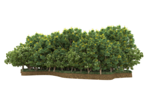 Realistic forest isolated on transparent background. 3d rendering - illustration png