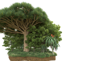 Realistic forest isolated on transparent background. 3d rendering - illustration png