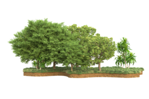 Realistic forest isolated on transparent background. 3d rendering - illustration png