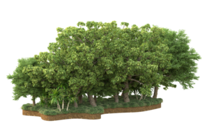 Realistic forest isolated on transparent background. 3d rendering - illustration png