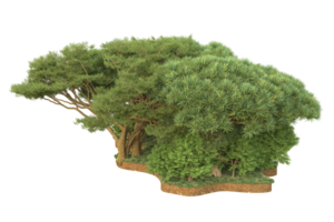 Realistic forest isolated on transparent background. 3d rendering - illustration png
