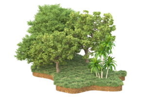 Realistic forest isolated on transparent background. 3d rendering - illustration png