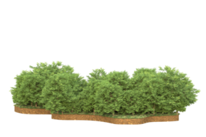 Realistic forest isolated on transparent background. 3d rendering - illustration png