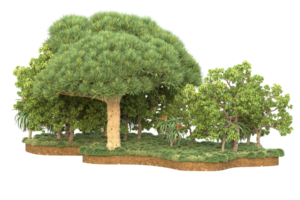 forêt réaliste isolée sur fond transparent. rendu 3d - illustration png