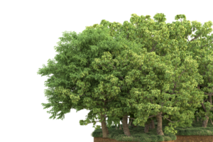 Realistic forest isolated on transparent background. 3d rendering - illustration png