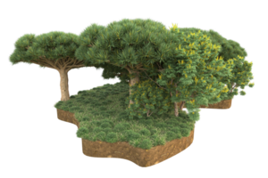 Realistic forest isolated on transparent background. 3d rendering - illustration png