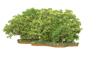 Realistic forest isolated on transparent background. 3d rendering - illustration png