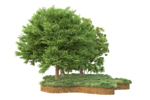 Realistic forest isolated on transparent background. 3d rendering - illustration png