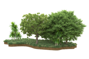 Realistic forest isolated on transparent background. 3d rendering - illustration png