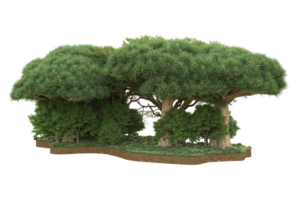 Realistic forest isolated on transparent background. 3d rendering - illustration png