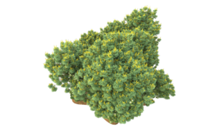 forêt réaliste isolée sur fond transparent. rendu 3d - illustration png