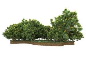 Realistic forest isolated on transparent background. 3d rendering - illustration png