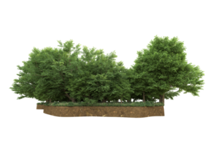 Realistic forest isolated on transparent background. 3d rendering - illustration png