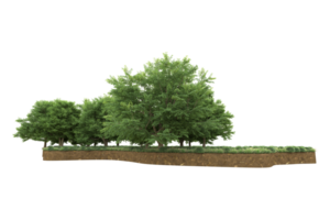 Realistic forest isolated on transparent background. 3d rendering - illustration png