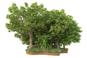 Realistic forest isolated on transparent background. 3d rendering - illustration png