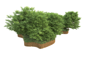 Realistic forest isolated on transparent background. 3d rendering - illustration png