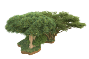Realistic forest isolated on transparent background. 3d rendering - illustration png