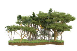 forêt réaliste isolée sur fond transparent. rendu 3d - illustration png