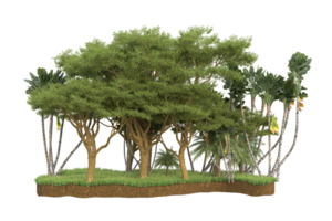 Realistic forest isolated on transparent background. 3d rendering - illustration png