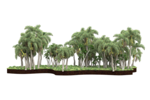 Realistic forest isolated on transparent background. 3d rendering - illustration png