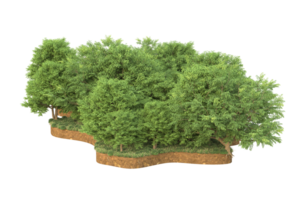 Realistic forest isolated on transparent background. 3d rendering - illustration png