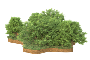 Realistic forest isolated on transparent background. 3d rendering - illustration png