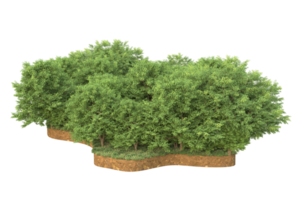 Realistic forest isolated on transparent background. 3d rendering - illustration png