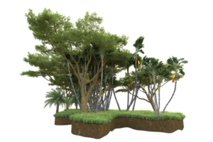 Realistic forest isolated on transparent background. 3d rendering - illustration png