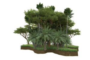 Realistic forest isolated on transparent background. 3d rendering - illustration png