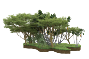 Realistic forest isolated on transparent background. 3d rendering - illustration png