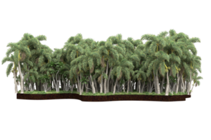 Realistic forest isolated on transparent background. 3d rendering - illustration png