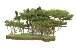 Realistic forest isolated on transparent background. 3d rendering - illustration png