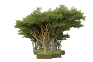 Realistic forest isolated on transparent background. 3d rendering - illustration png