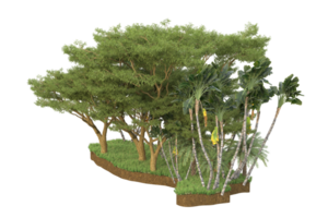 Realistic forest isolated on transparent background. 3d rendering - illustration png