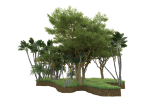 Realistic forest isolated on transparent background. 3d rendering - illustration png