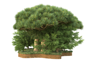 Realistic forest isolated on transparent background. 3d rendering - illustration png