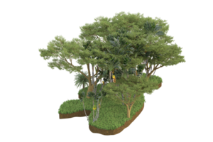 Realistic forest isolated on transparent background. 3d rendering - illustration png