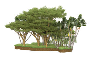 Realistic forest isolated on transparent background. 3d rendering - illustration png