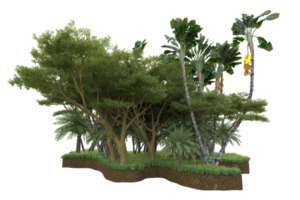 forêt réaliste isolée sur fond transparent. rendu 3d - illustration png