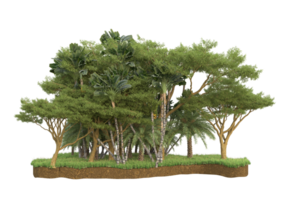 Realistic forest isolated on transparent background. 3d rendering - illustration png