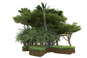 Realistic forest isolated on transparent background. 3d rendering - illustration png